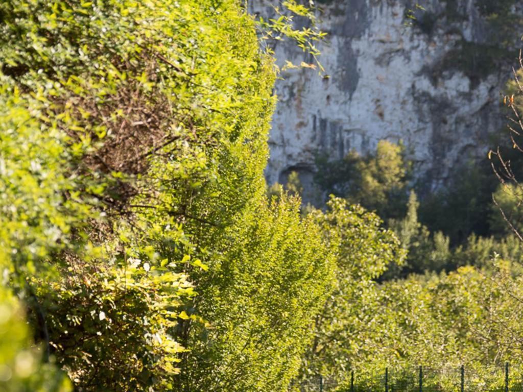 Le Moulin De La Maison Des Templiers Villa Saint-Cernin-de-Larche Esterno foto